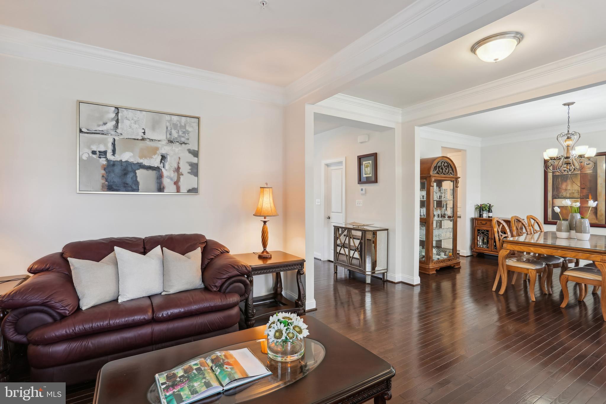 CLARKSBURG TOWN CENTER - Residential