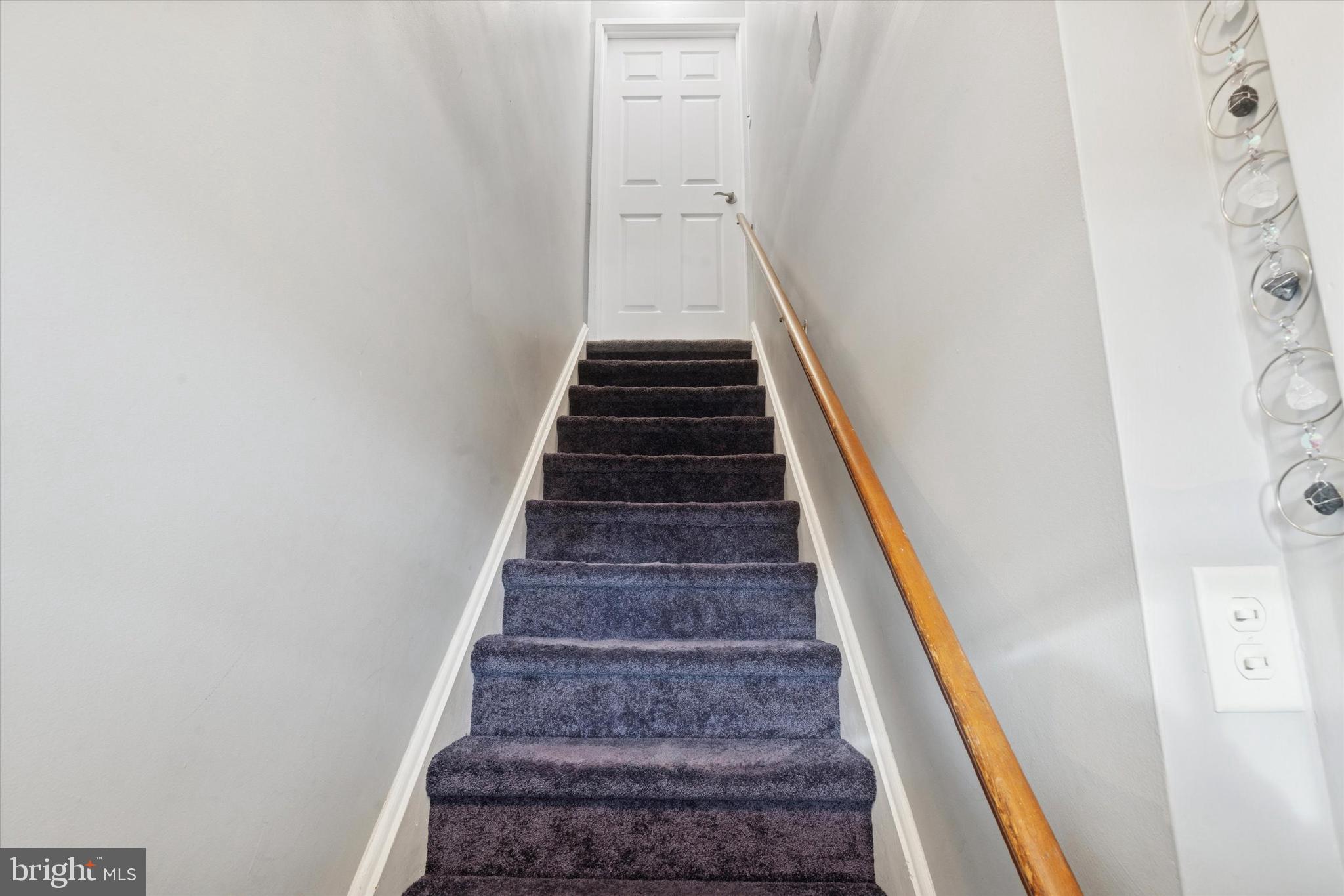 703 HOFFNAGLE STREET 2