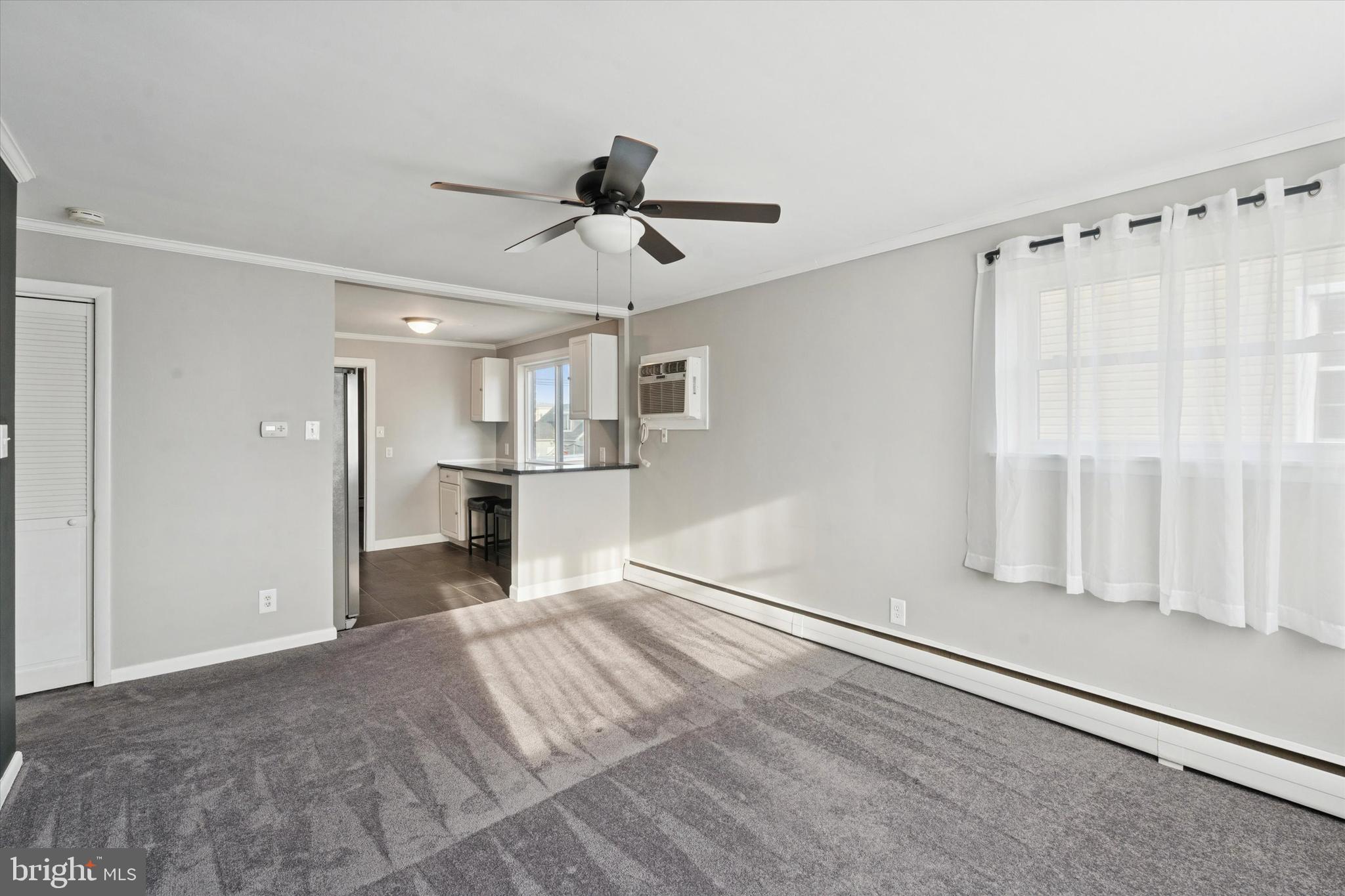 703 HOFFNAGLE STREET 2