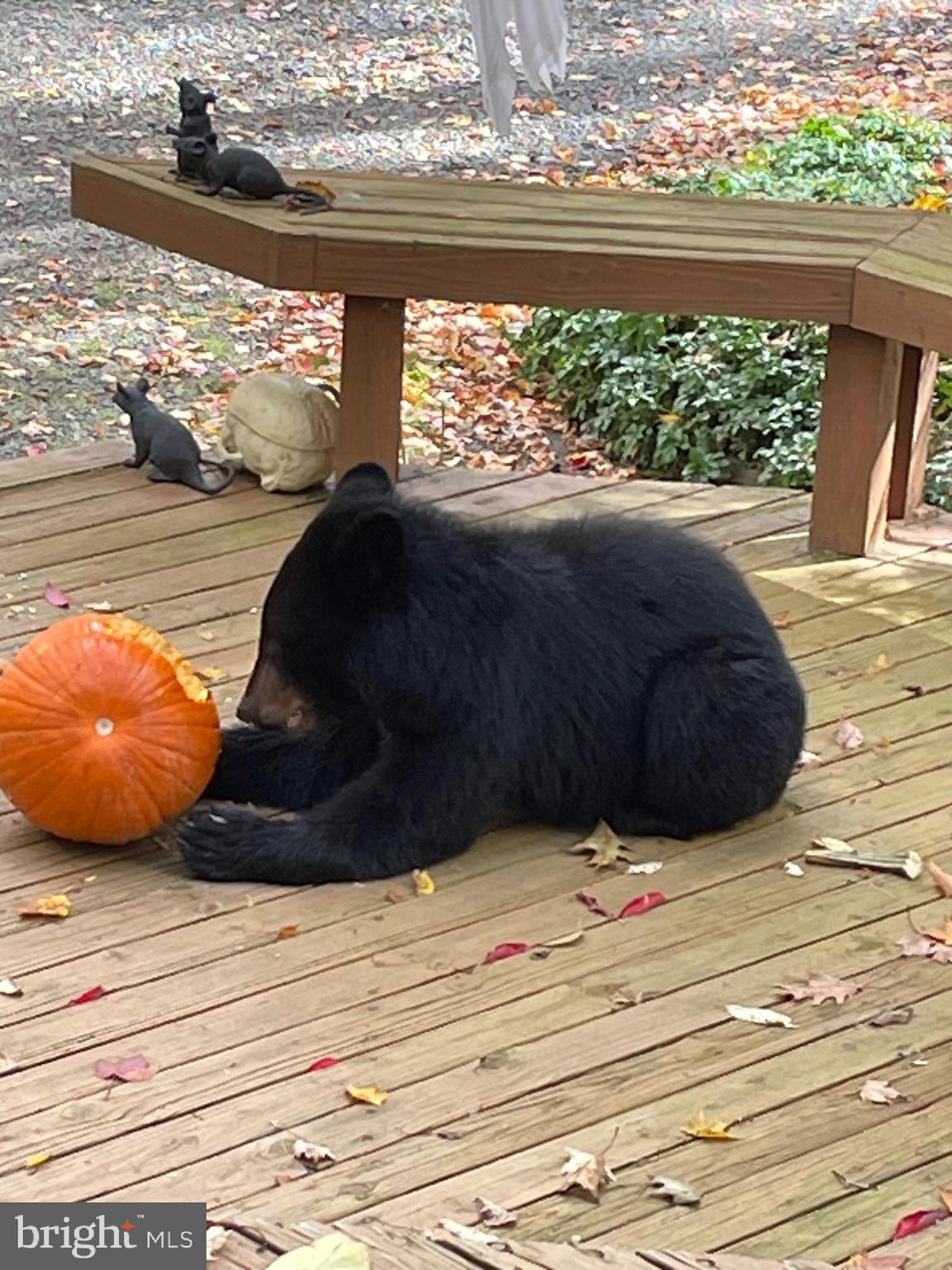 LOCUST LAKE VILLAGE - Residential