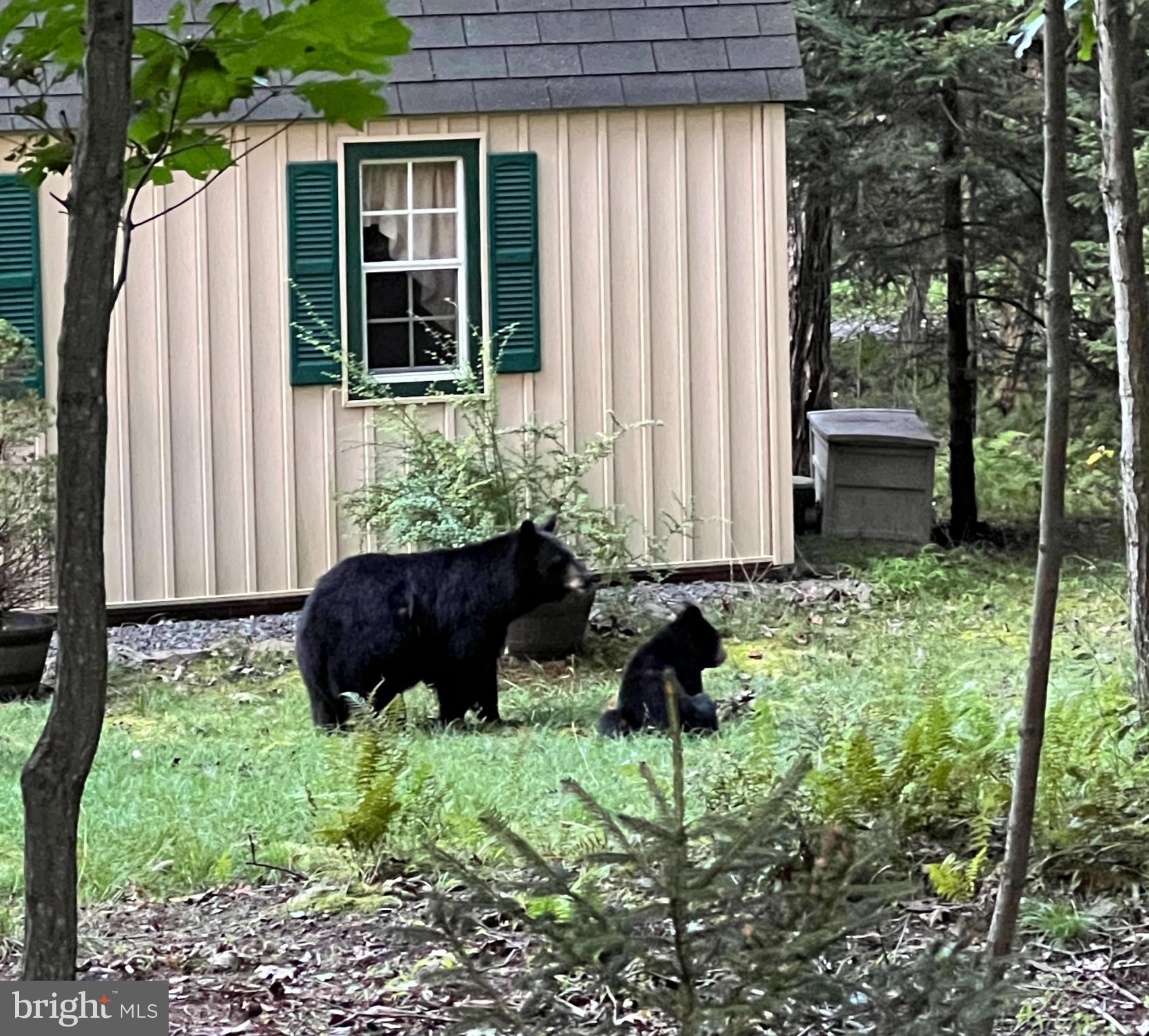 LOCUST LAKE VILLAGE - Residential