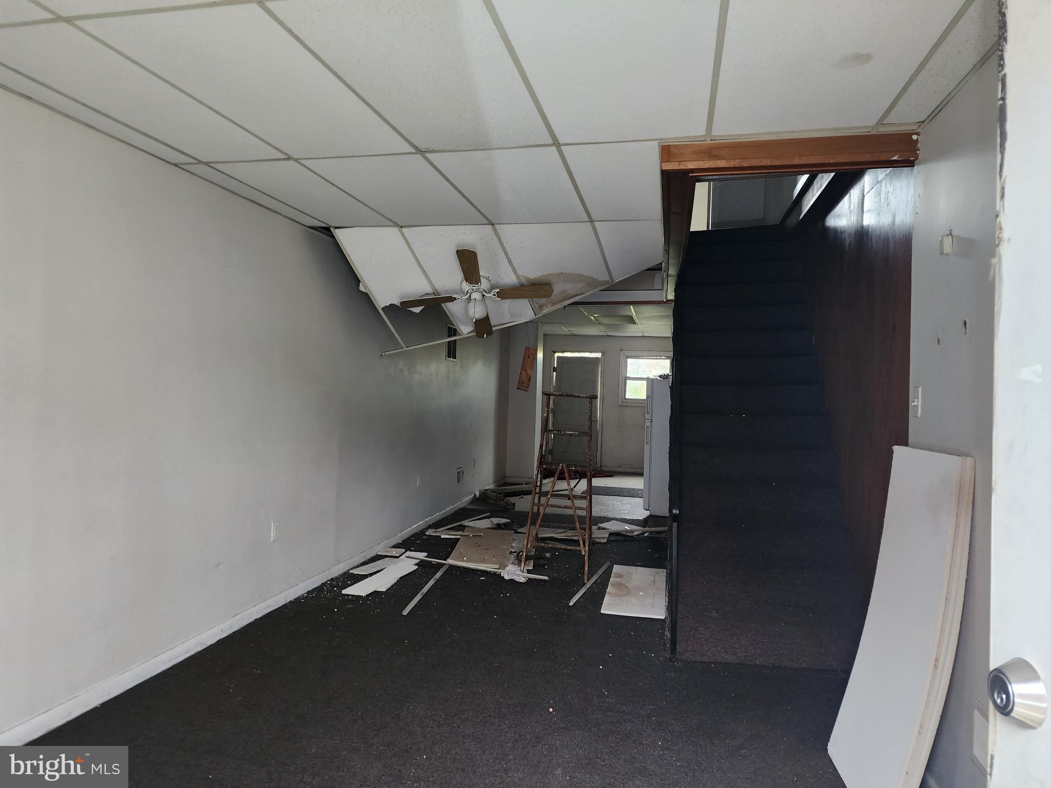 OLIVER - Residential