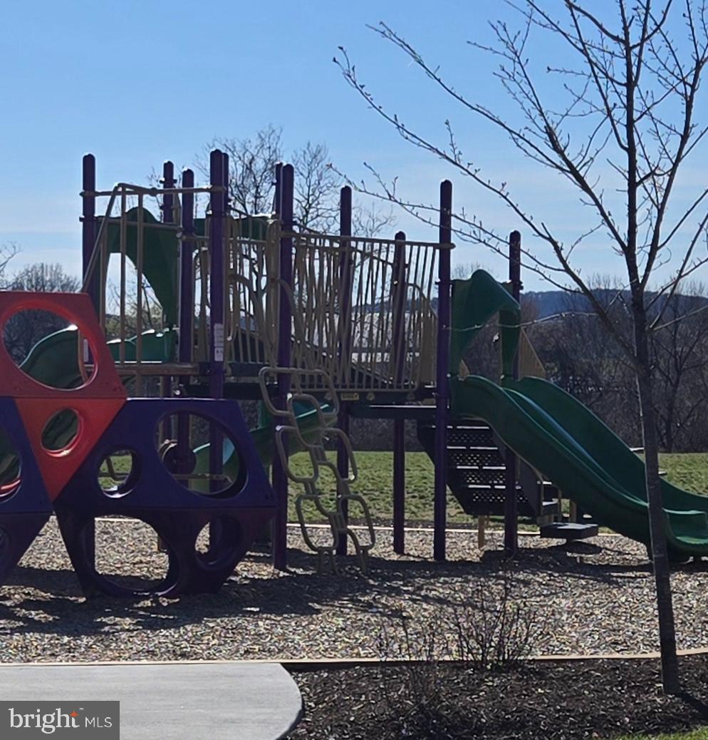 HARRINGTON TERRACE - Residential