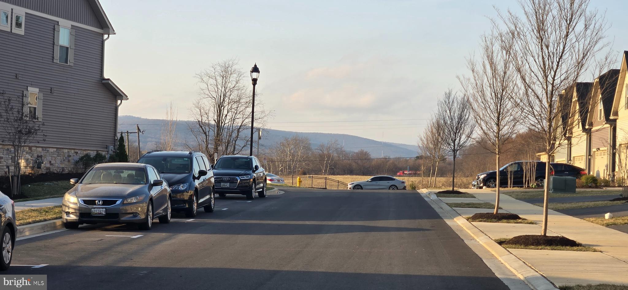 HARRINGTON TERRACE - Residential