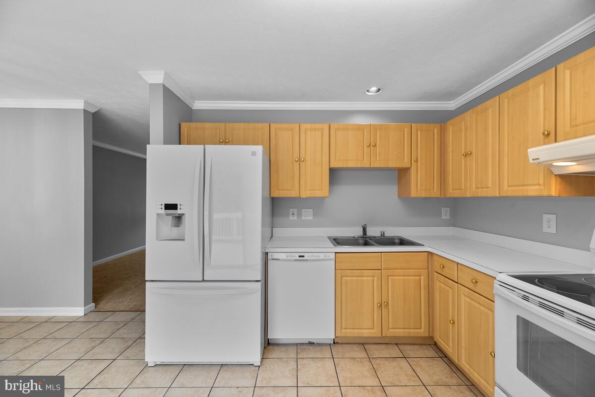 SNOWDEN RIDGE - Residential