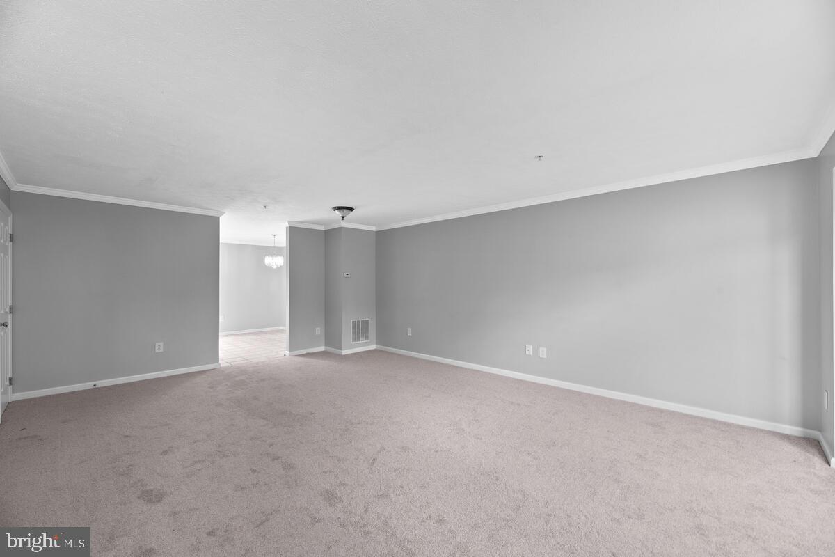 SNOWDEN RIDGE - Residential