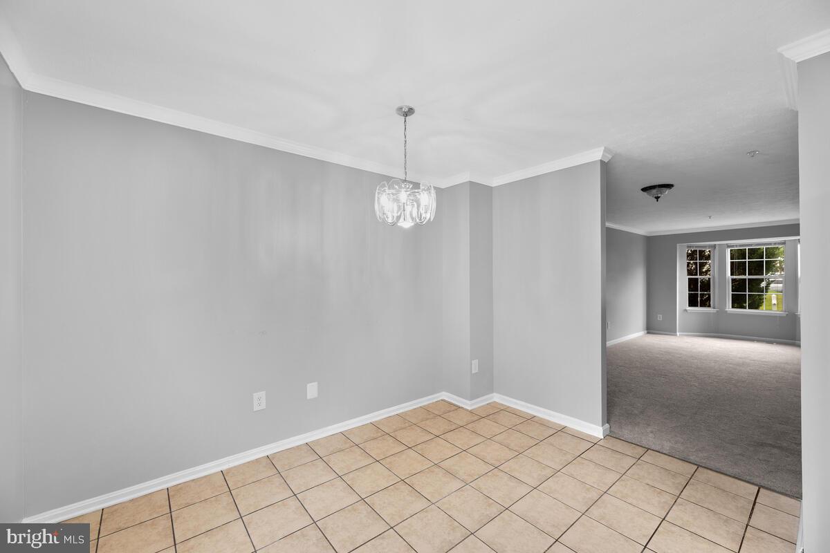 SNOWDEN RIDGE - Residential