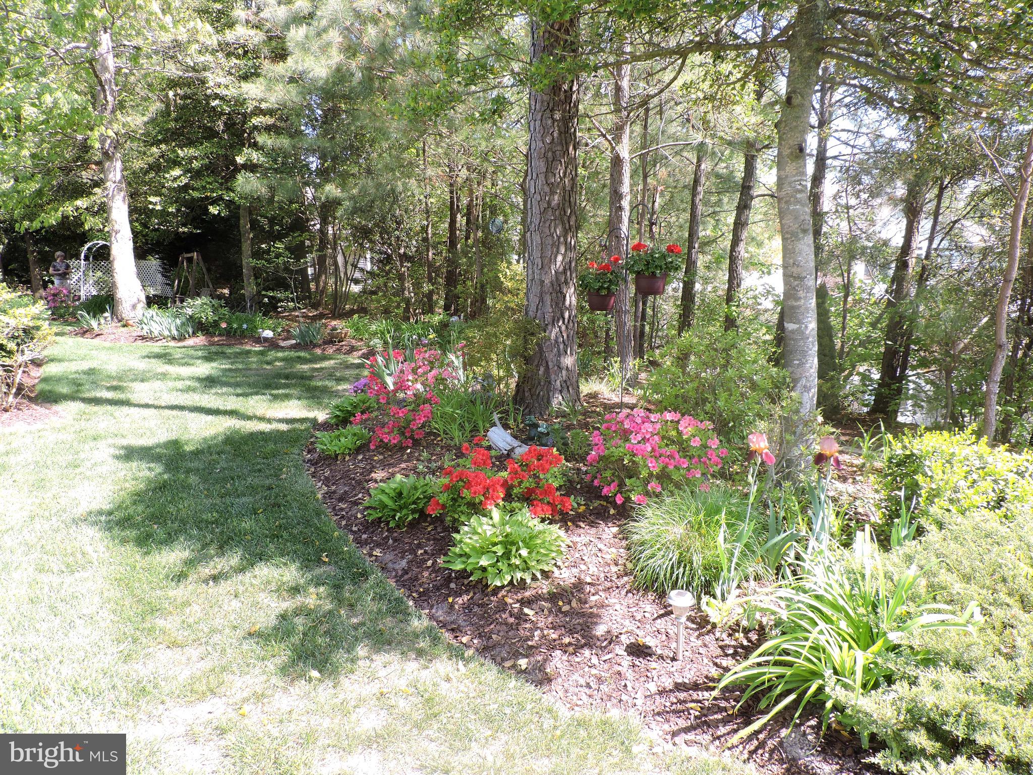 OYSTER HARBOR - Residential