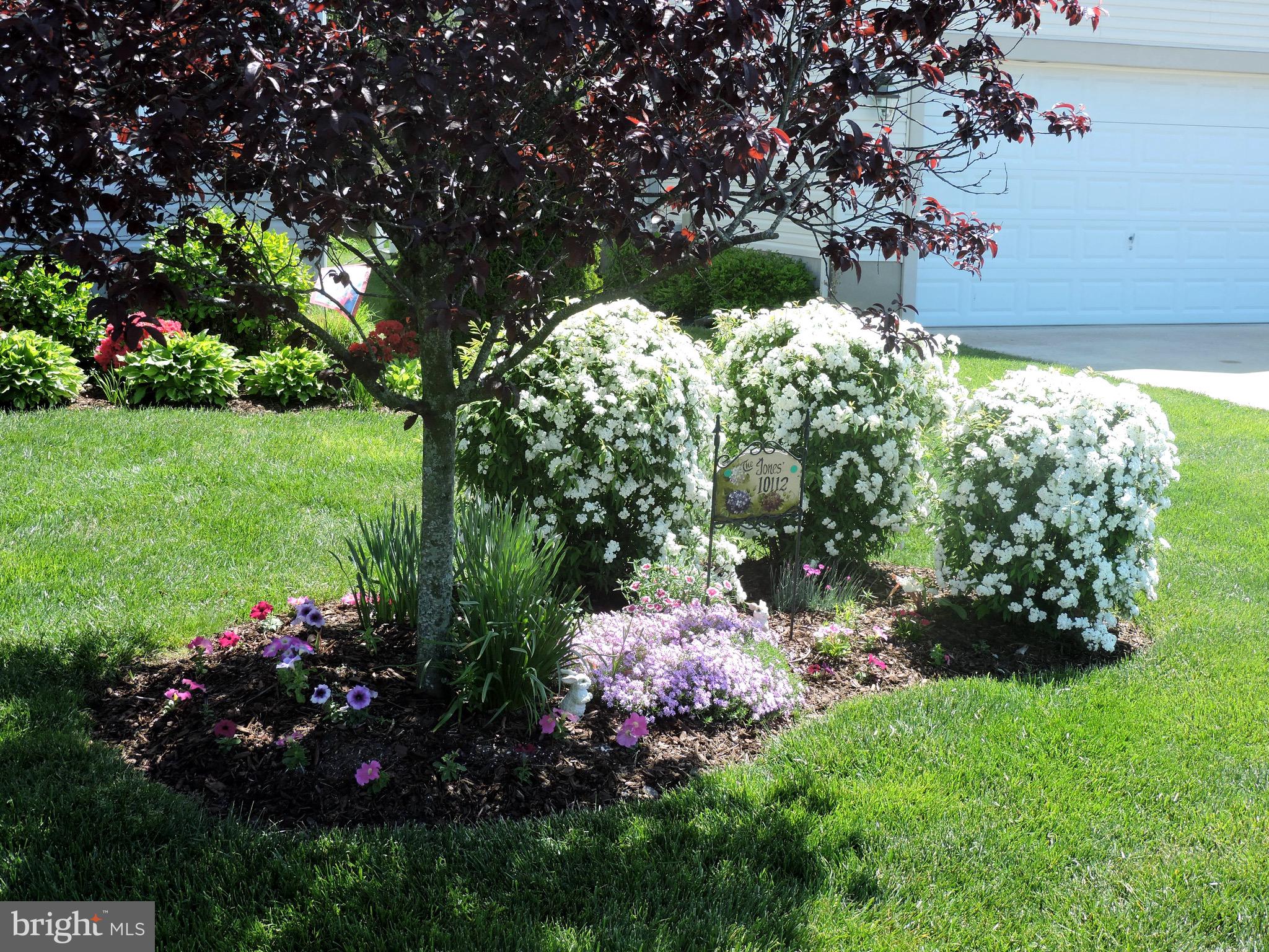 OYSTER HARBOR - Residential