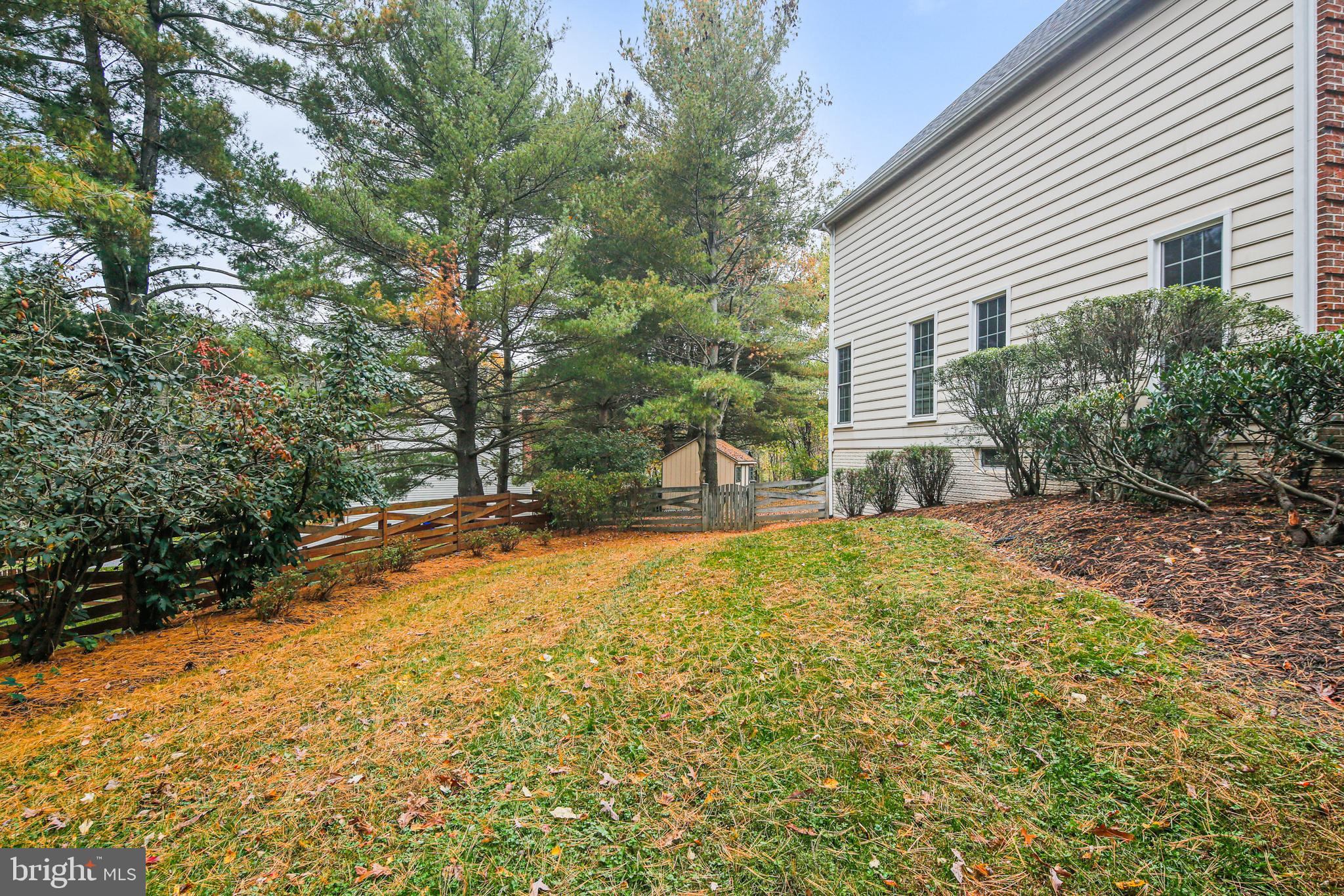 THE FOREST - Residential