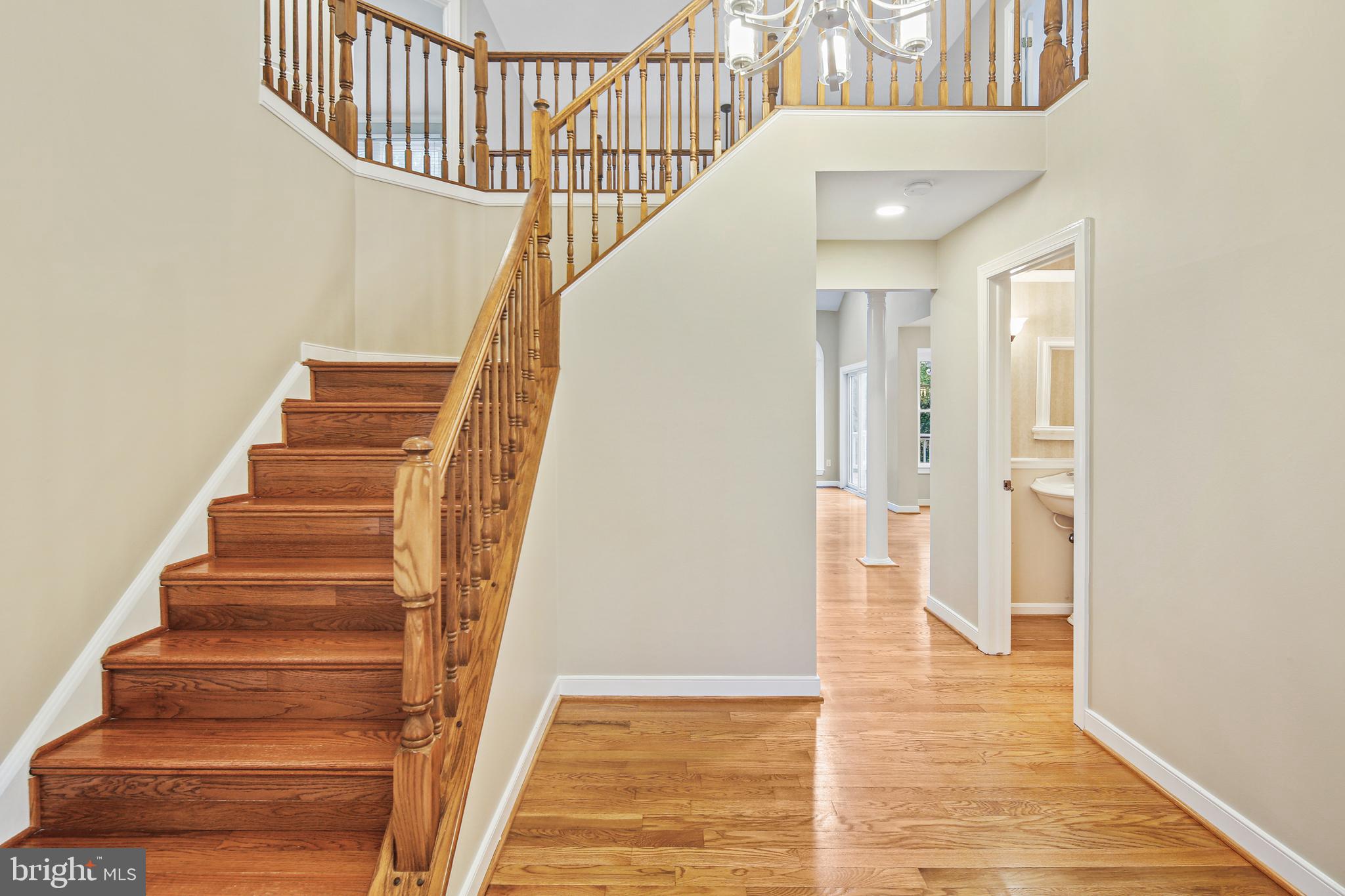 THE FOREST - Residential