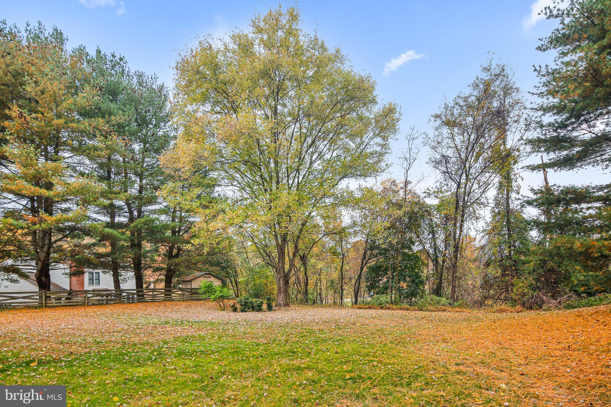 THE FOREST - Residential