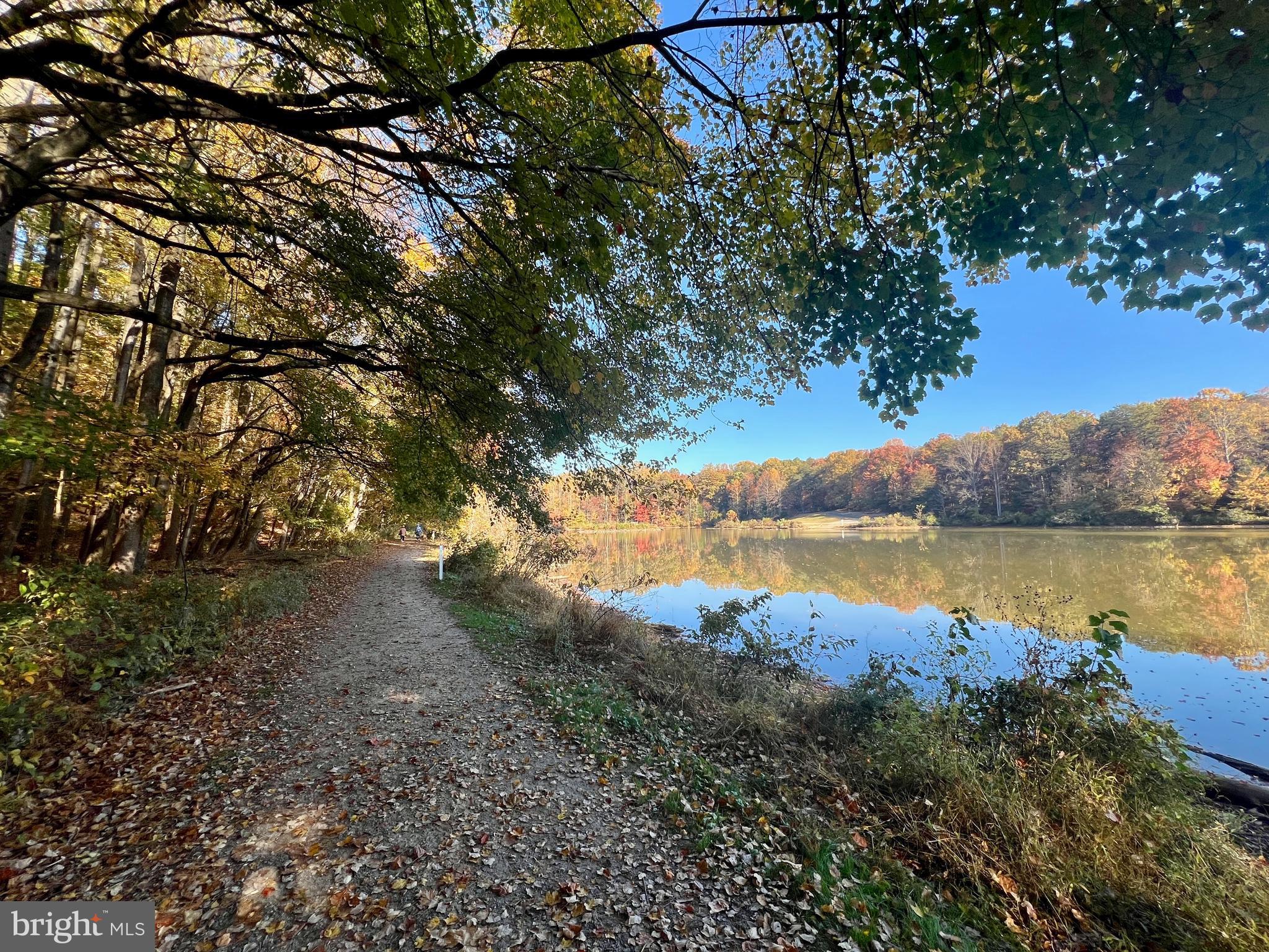 THE VILLAGE PARK - Residential Lease