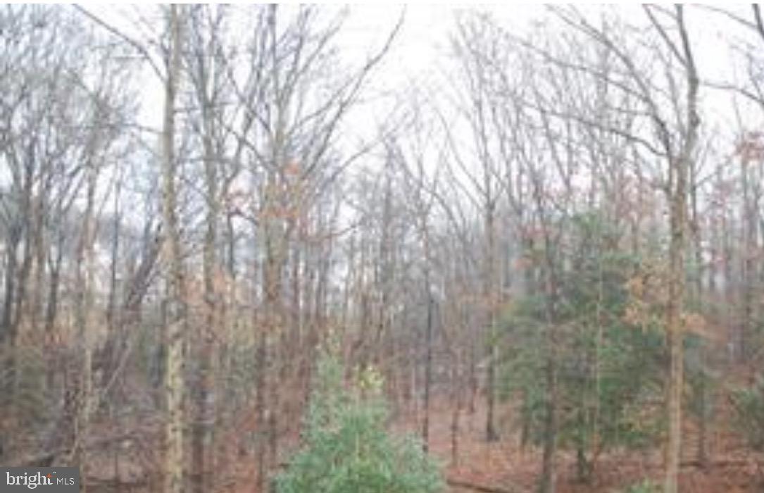 TANYARD SPRINGS - Residential Lease