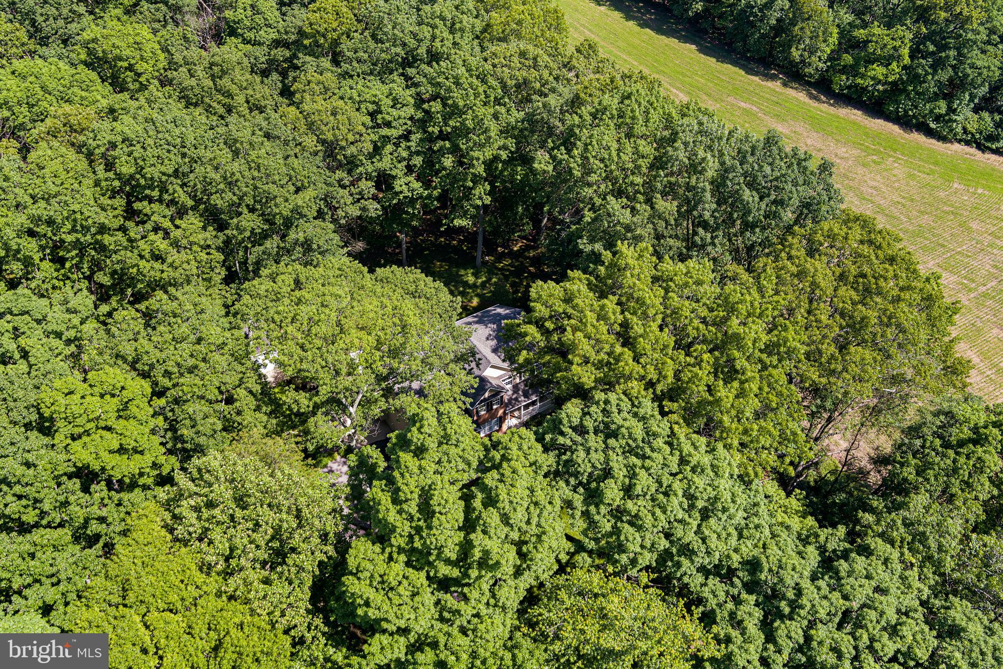 MT AIRY ESTATES - Residential