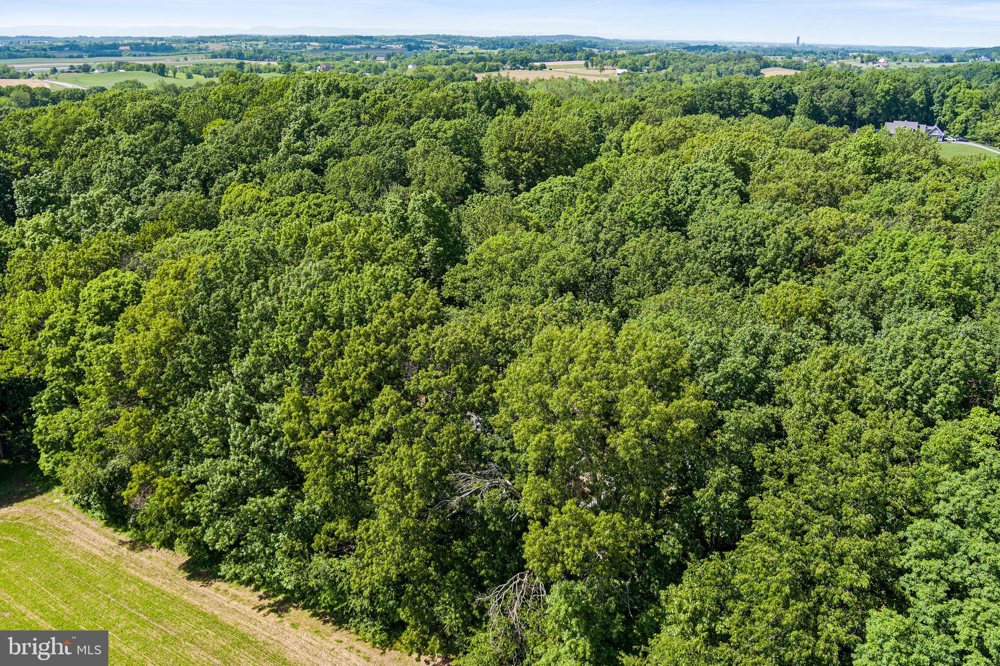 MT AIRY ESTATES - Residential