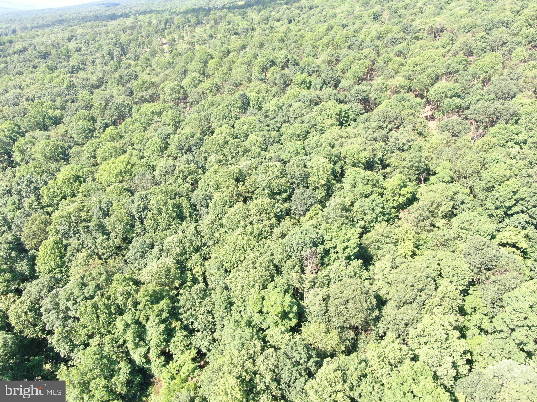 5.5+/- ACRES MOUNTAIN GREEN ROAD