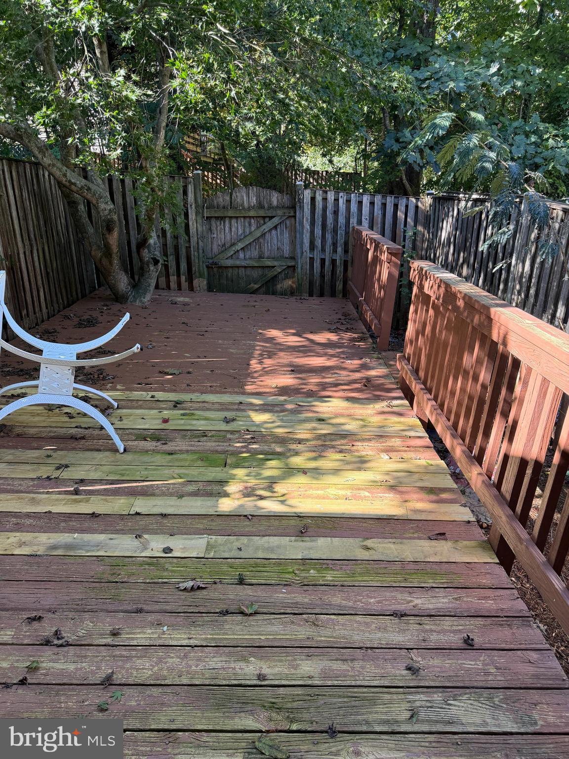 MONTCLAIR ST3 - Residential Lease