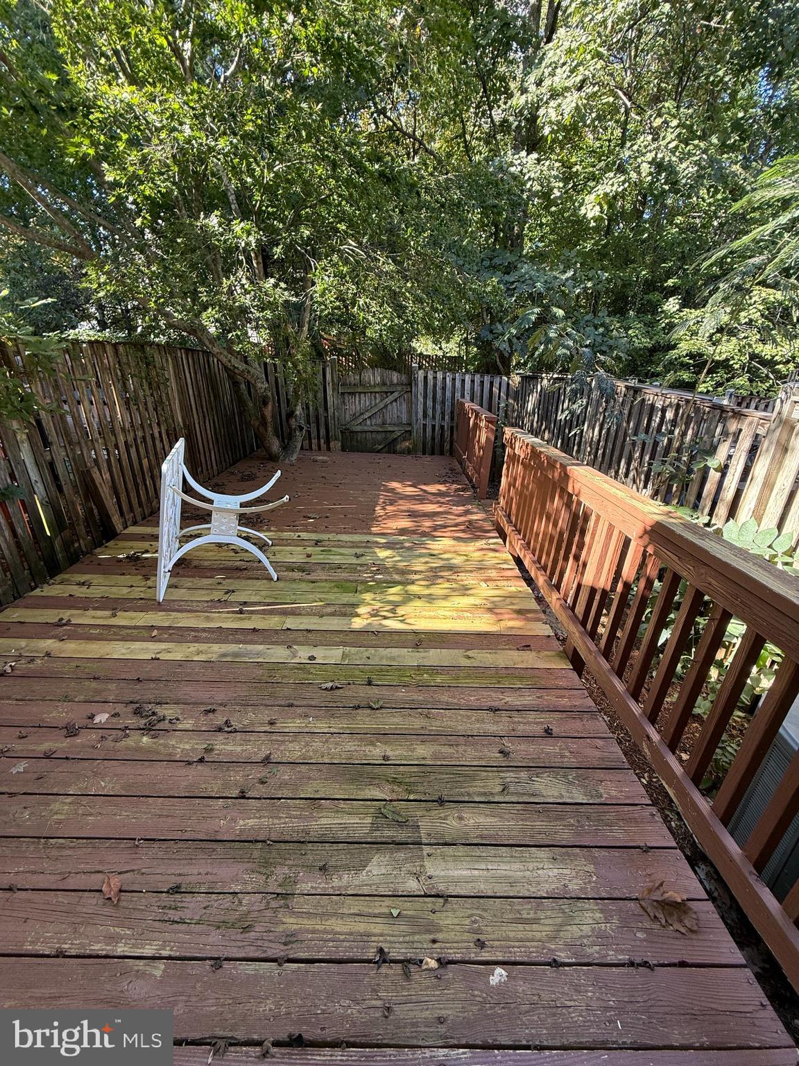 MONTCLAIR ST3 - Residential Lease