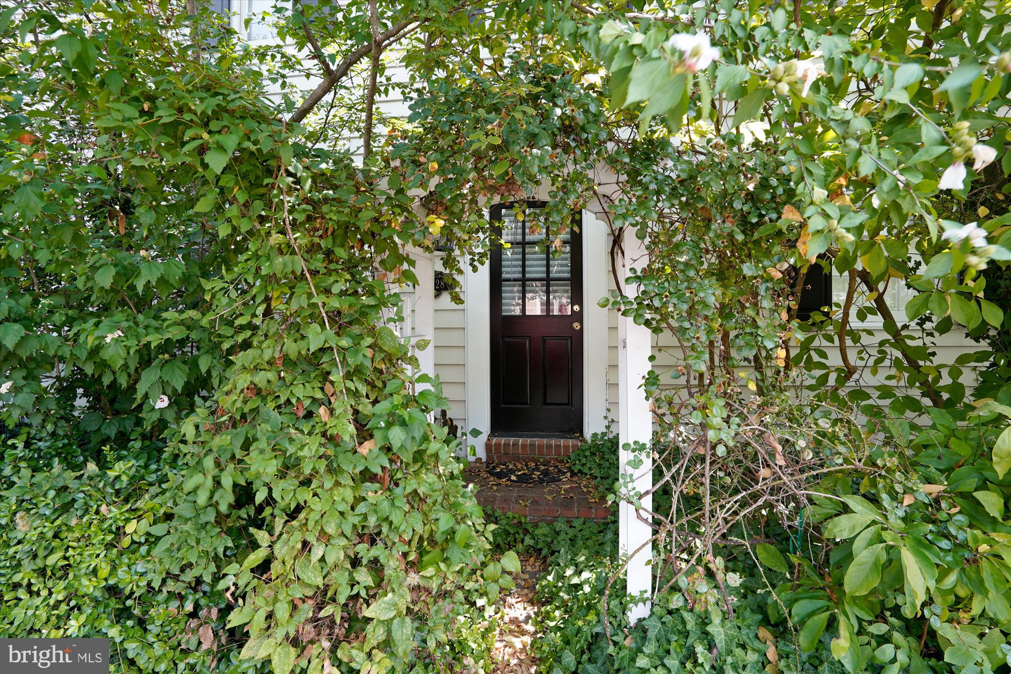 OLD TOWN - Residential Lease