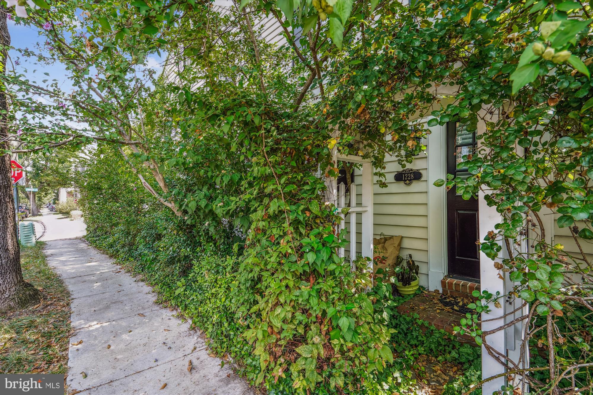 OLD TOWN - Residential Lease