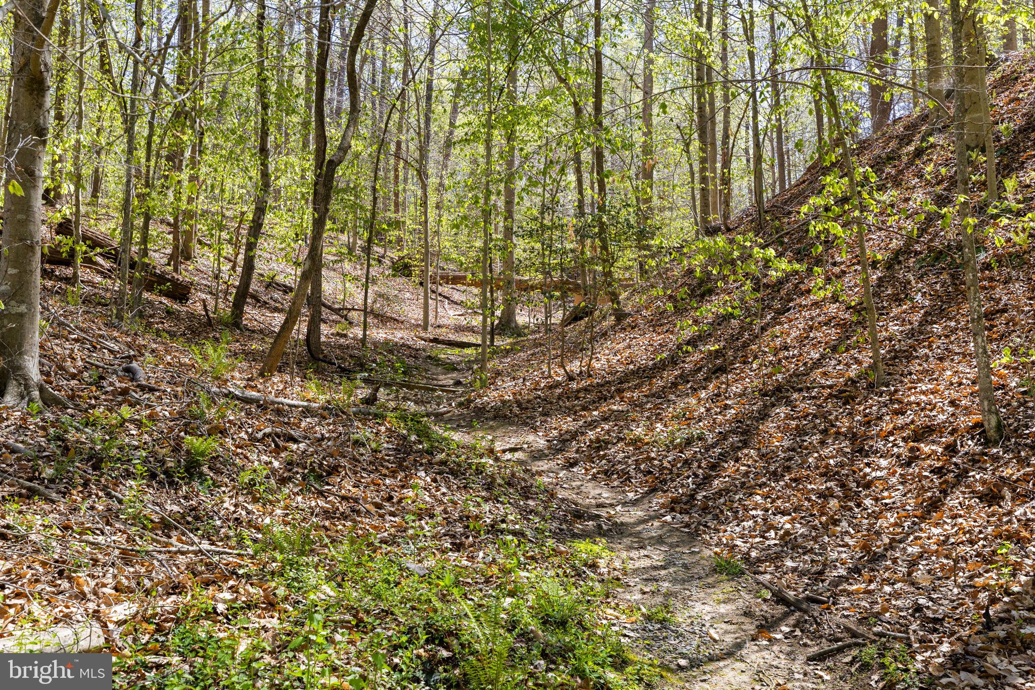 RAPPAHANNOCK - Residential