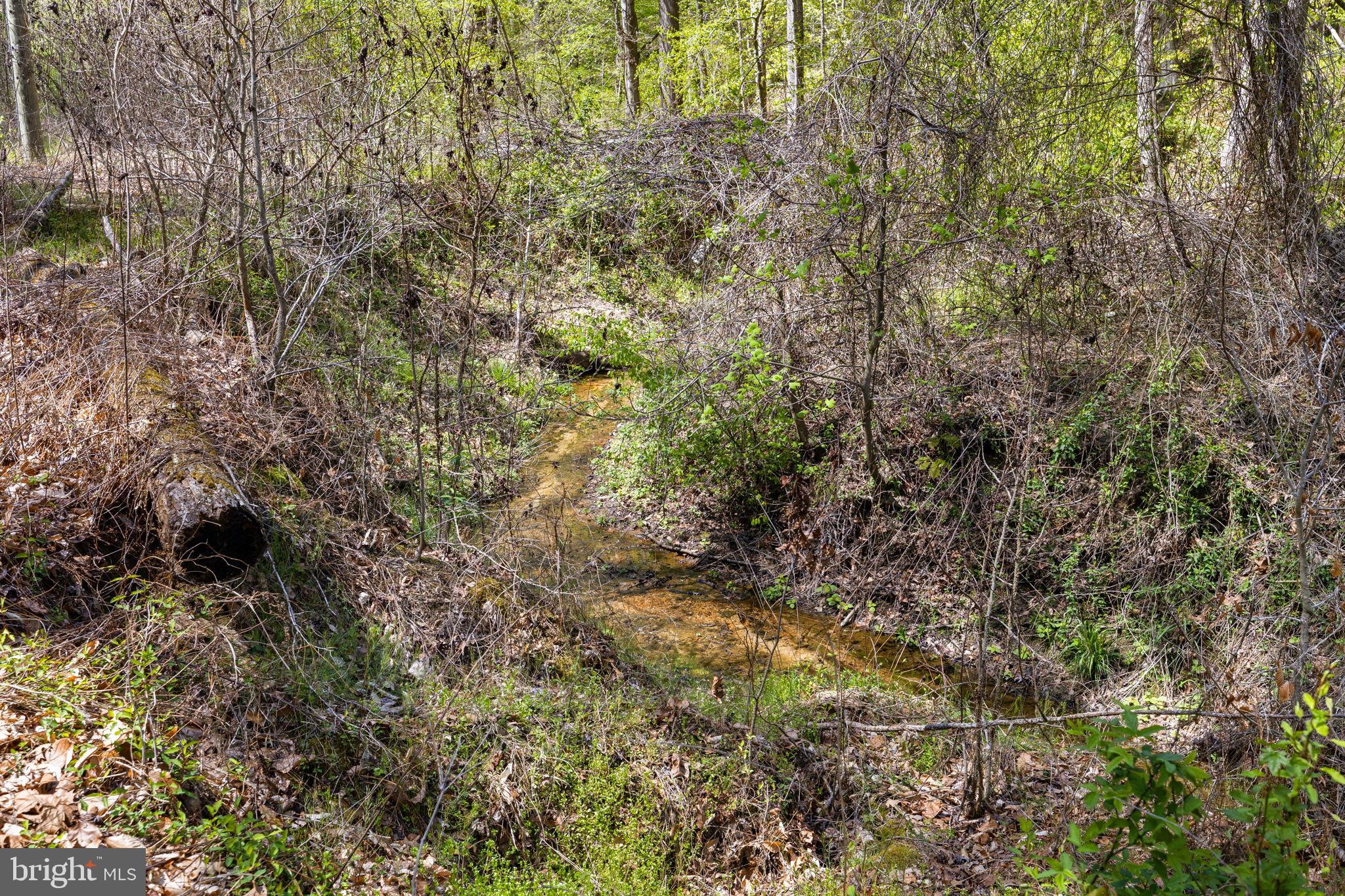 RAPPAHANNOCK - Residential