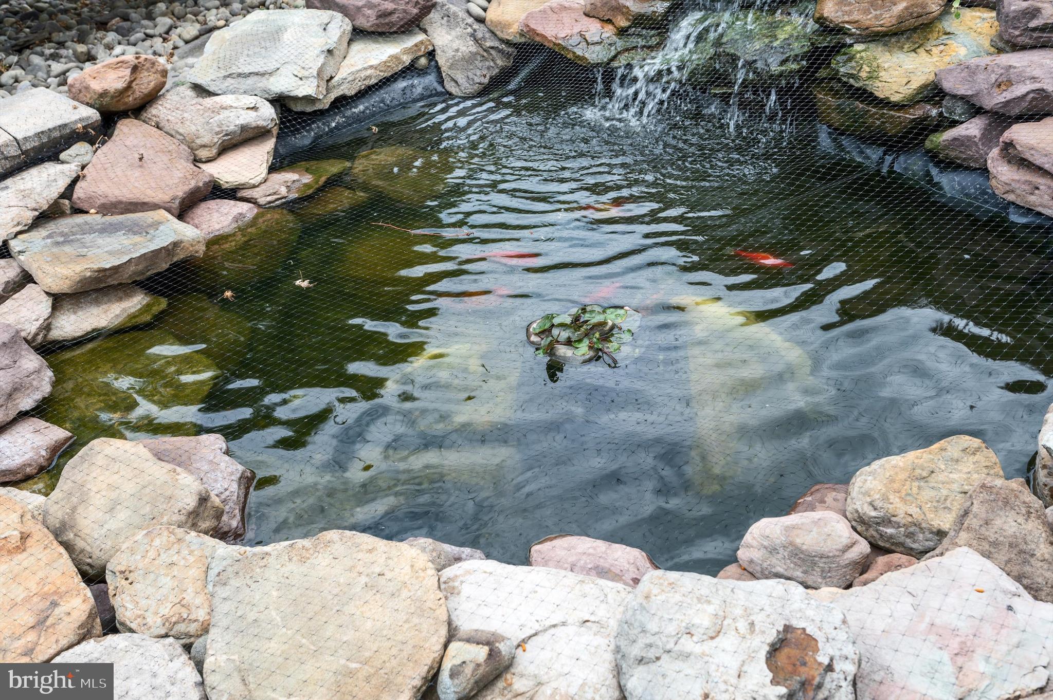 DEMORY FARM - Residential