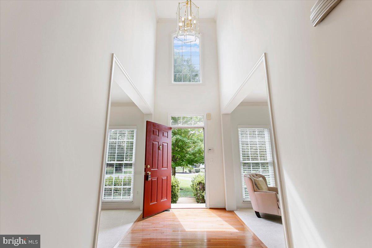 8558 FISHER WOODS DRIVE