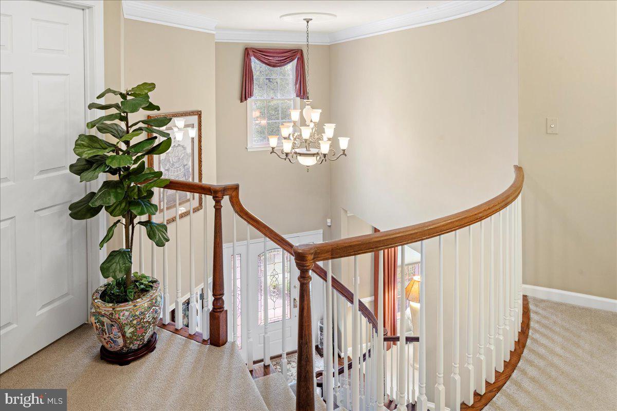 BUCKINGHAM FOREST - Residential