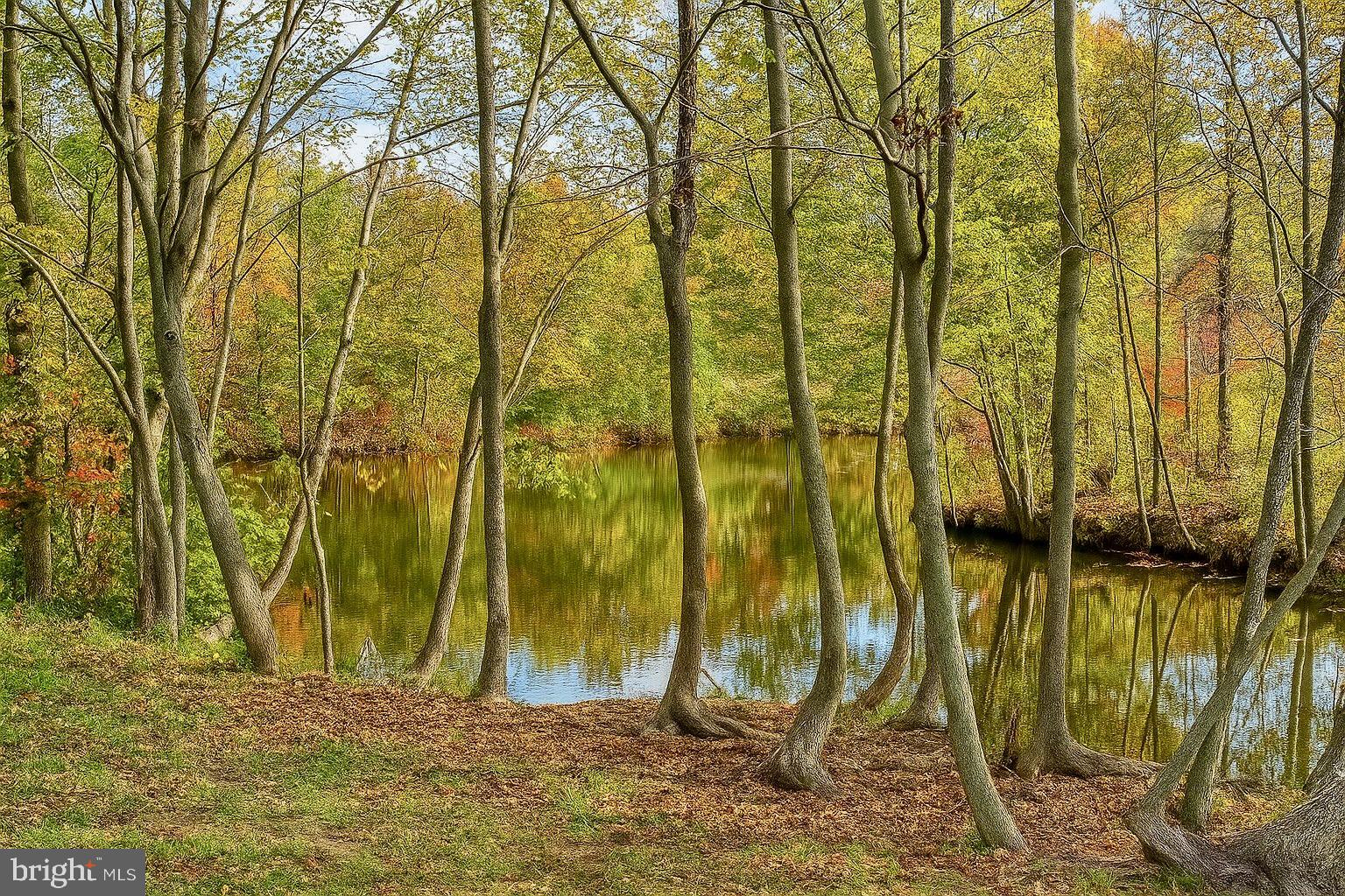 407 BRENFORD STATION ROAD