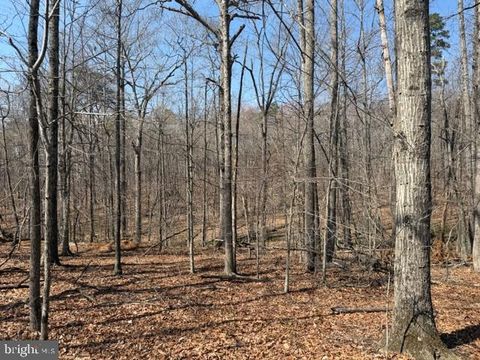 Vacant Land For Sale - Countryside Lane - Lot 3<br/> LIGNUM, VA 22726