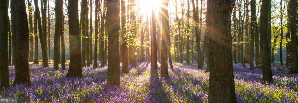 2818 MAGIC MOUNTAIN ROAD