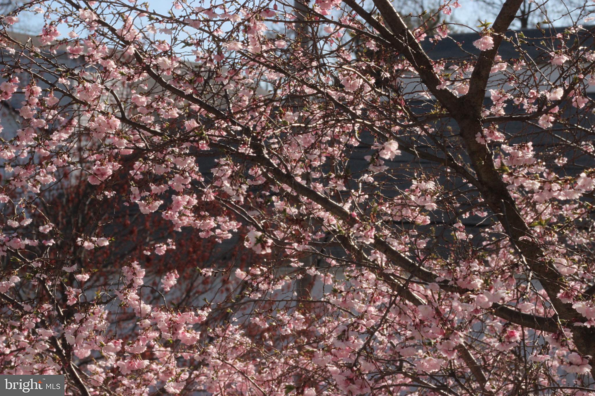 UNION STATION AT WC - Residential