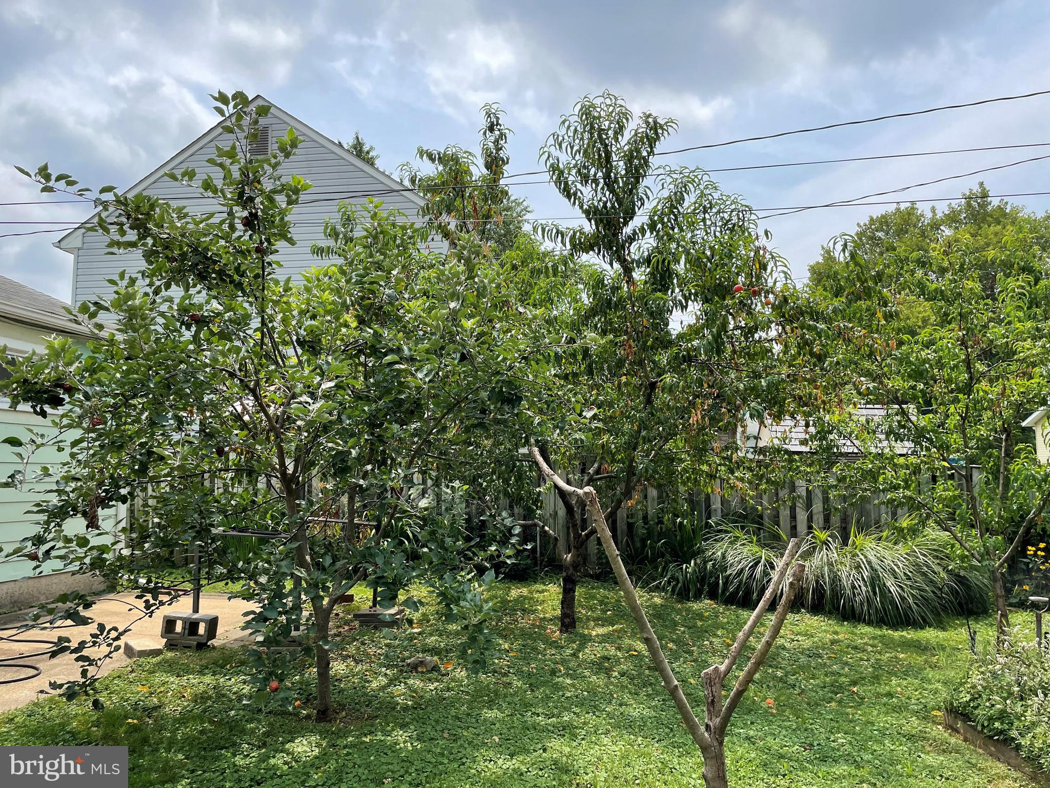 ELMWOOD - Residential