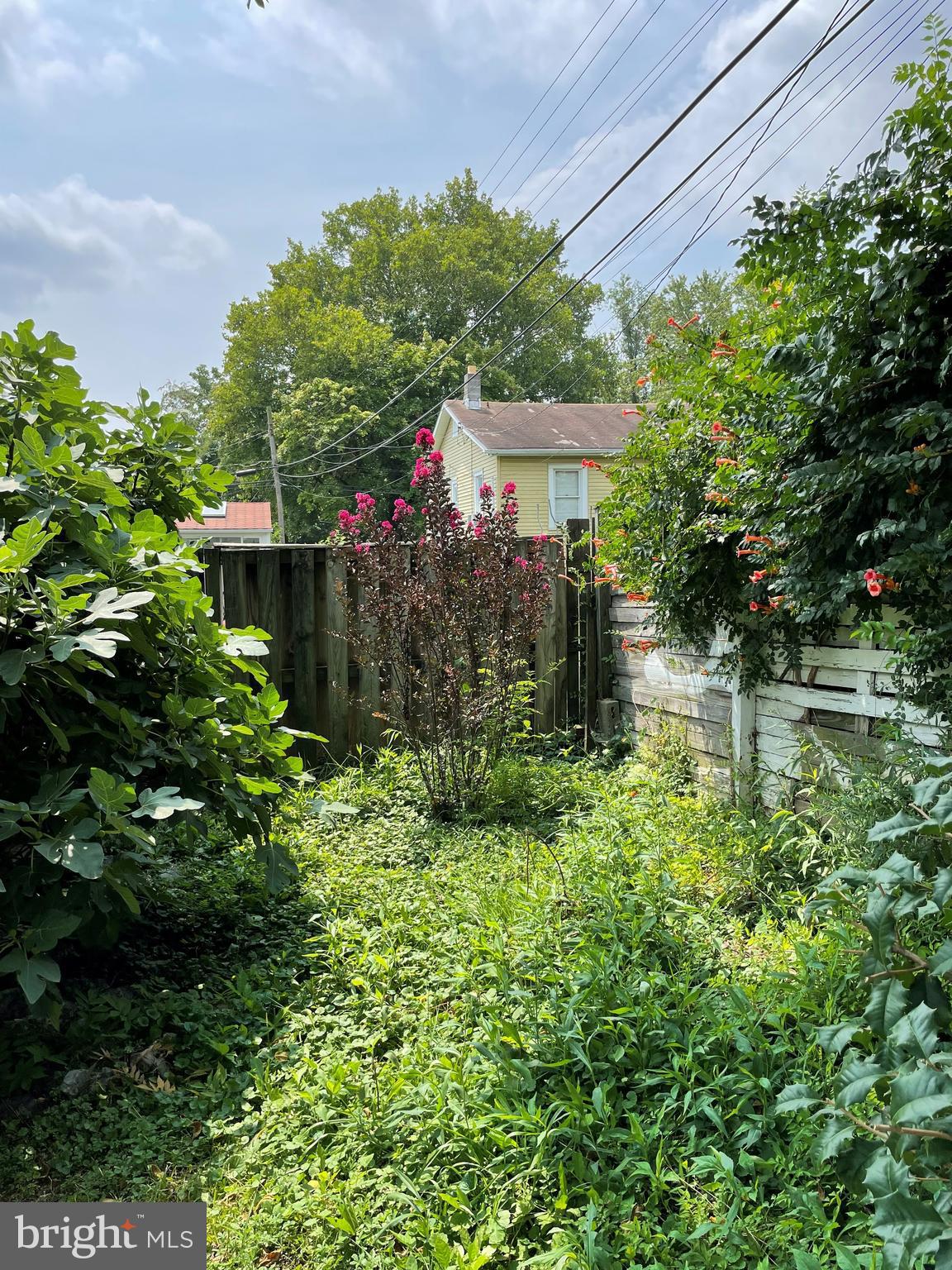 ELMWOOD - Residential