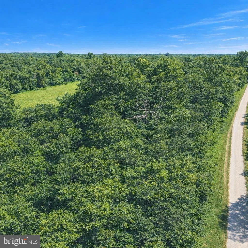 3802 Meadowbridge Road, Richmond, VA, 23222