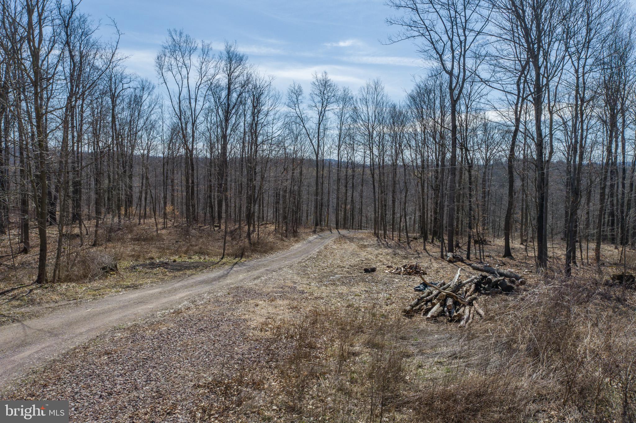 616 CRAB RUN ROAD