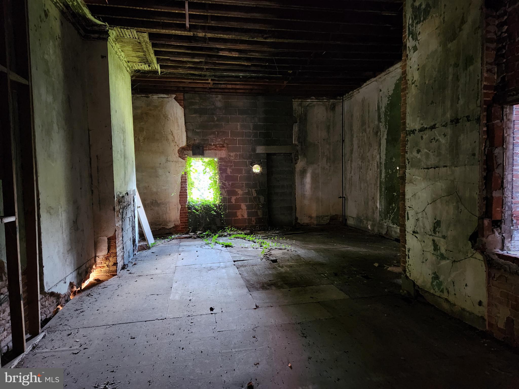 HARLEM PARK - Residential