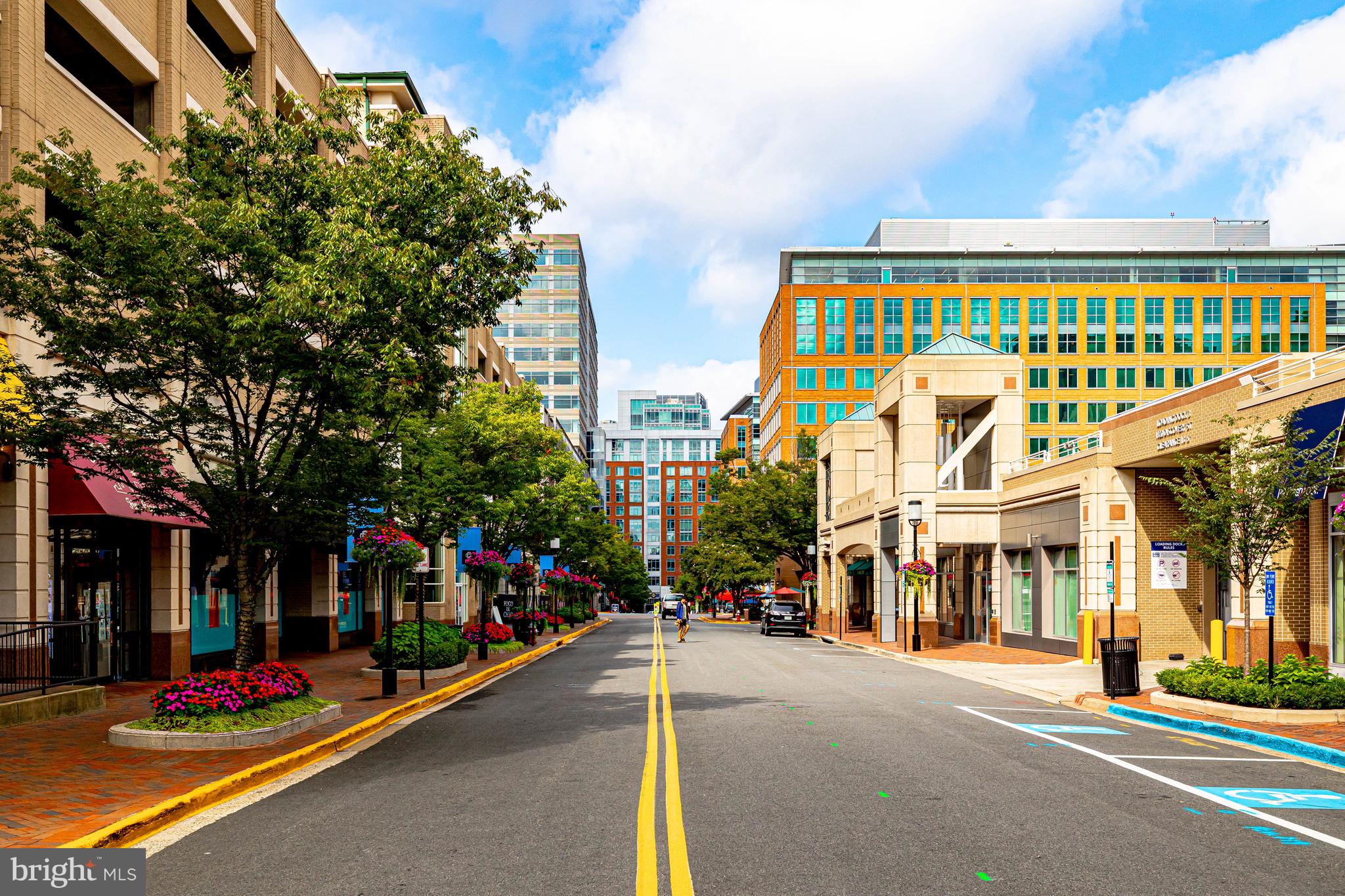 NORTHGATE CONDO - Residential Lease