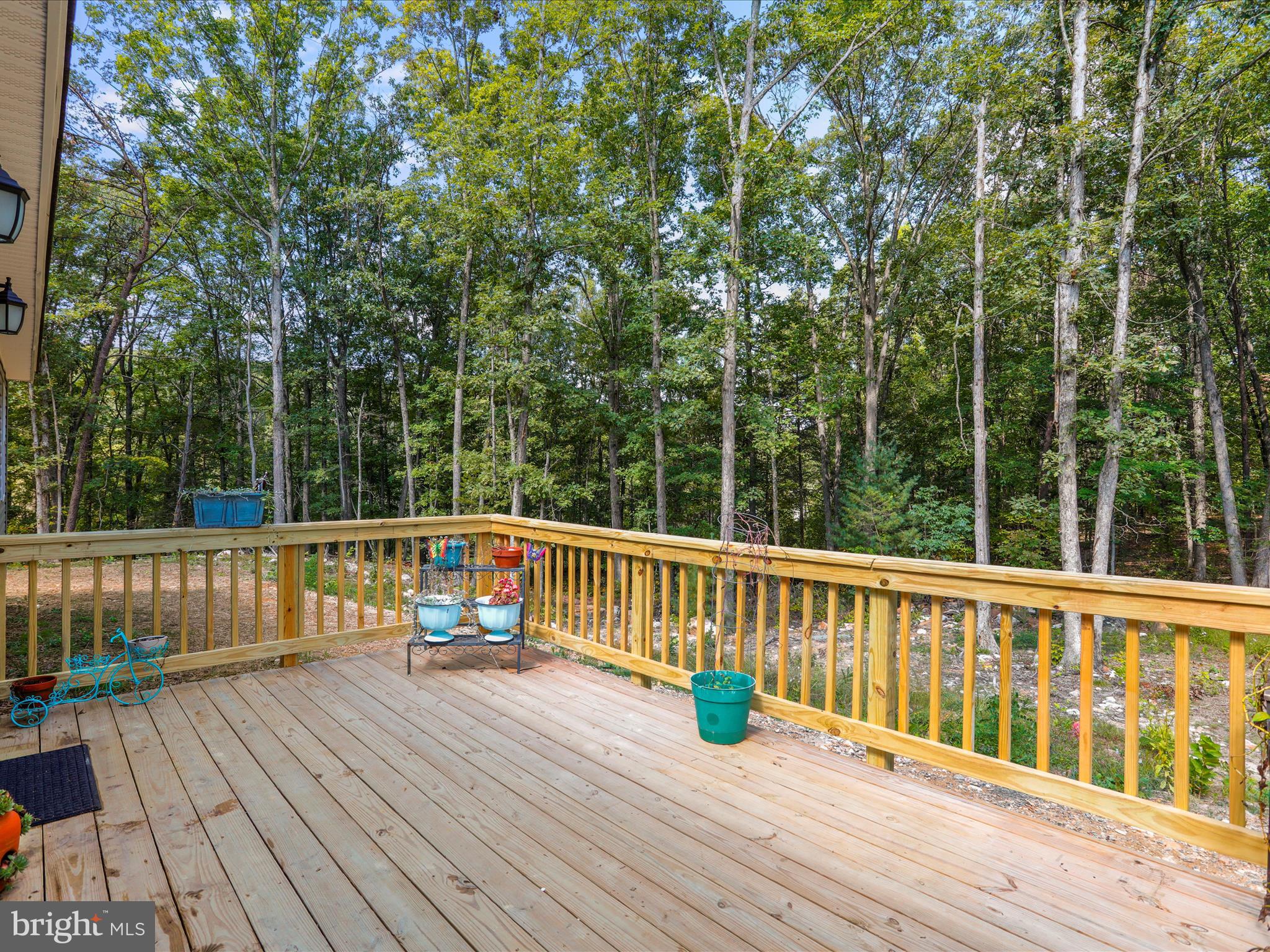 FOREST EDGE ESTATES - Residential