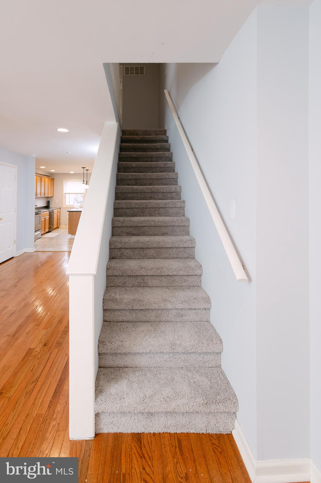 WYMAN PARK HAMPDEN - Residential