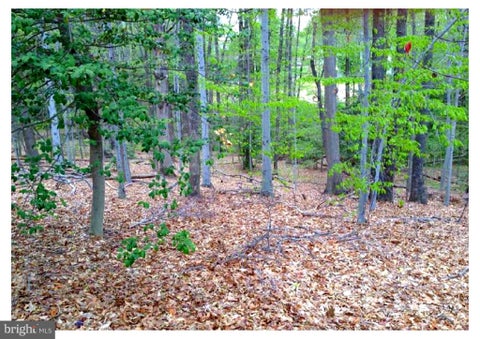Vacant Land For Sale - 8310 Upper Spring Lane<br/> ANNANDALE, VA 22003