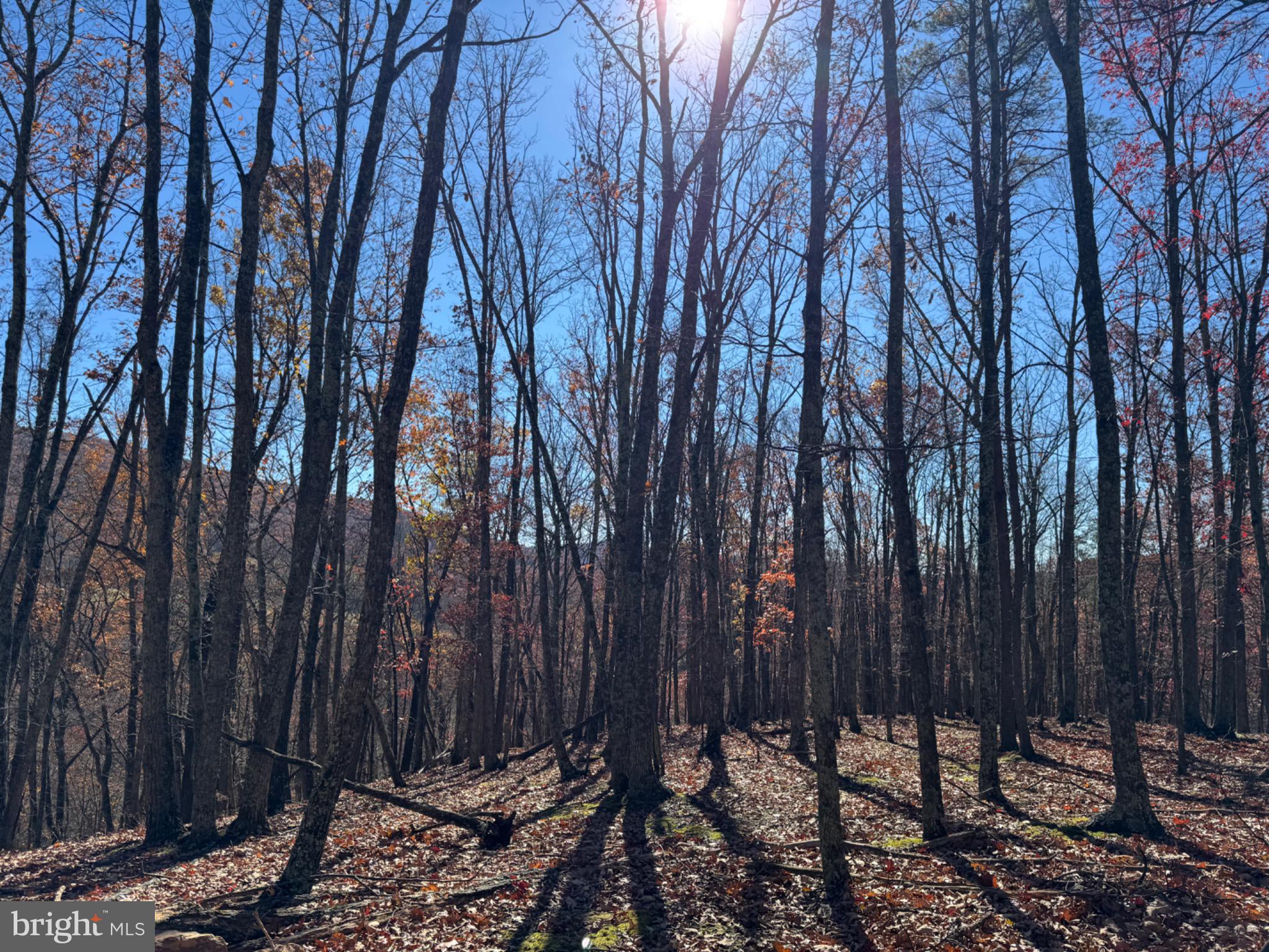 Lot 2 COVE CREEK ROAD