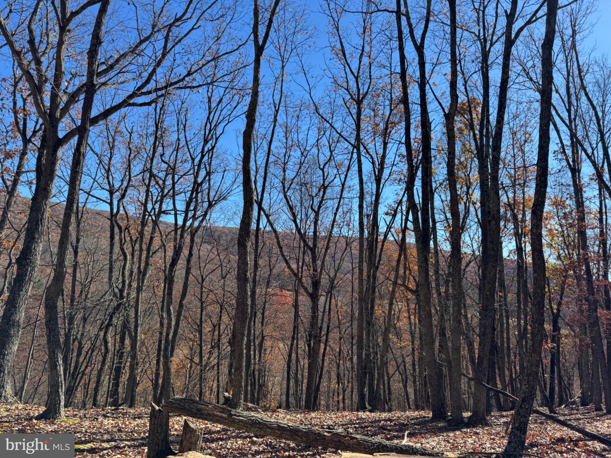 Lot 2 COVE CREEK ROAD