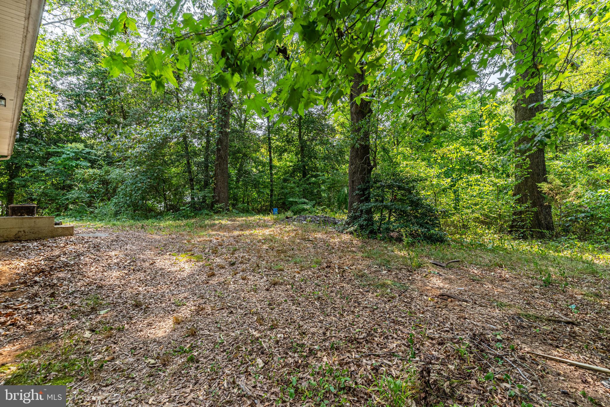 CHESTNUT ACRES - Residential