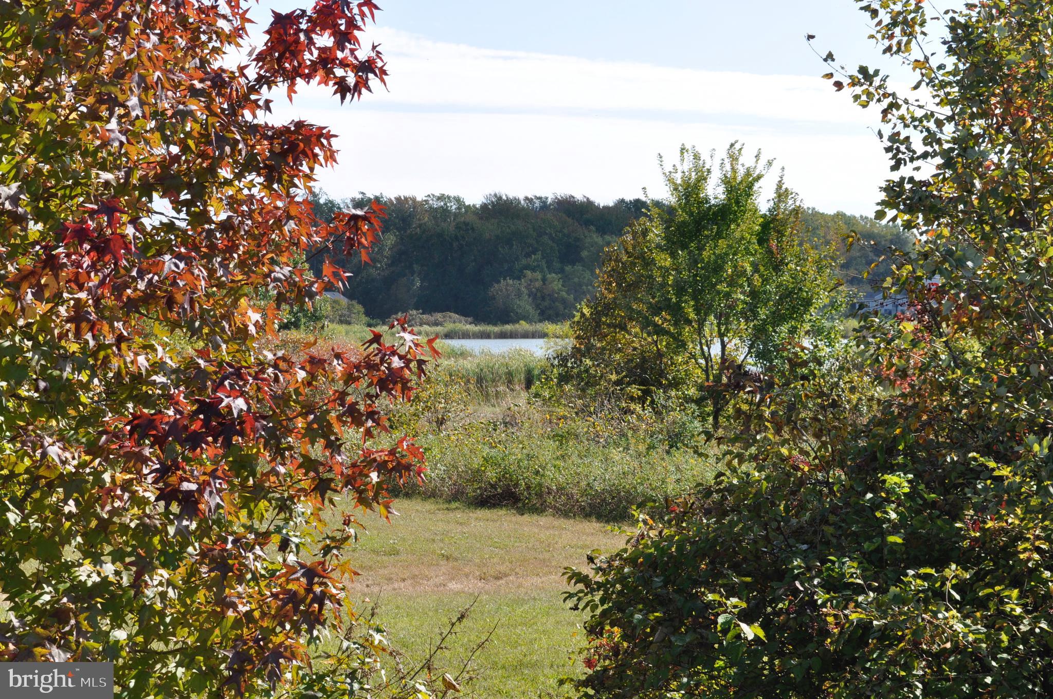 PRESERVE AT ROBINSON FARMS - Residential