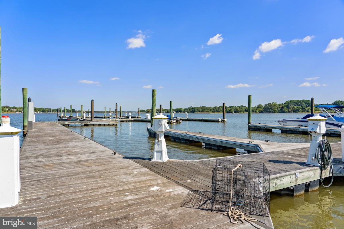 CHESTER RIVER LANDING - Commercial Sale