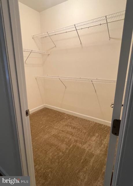 URBANA - Residential Lease