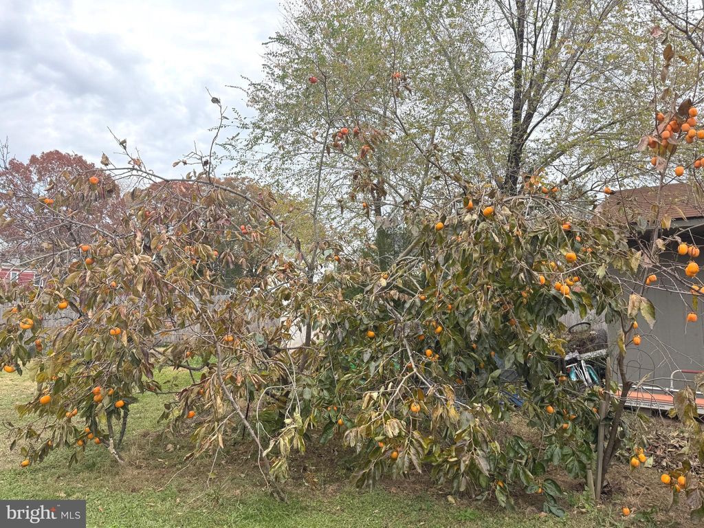 Photo of 21660 N Essex Drive, LEXINGTON PARK, MD 20653 (MLS # MDSM2028182)